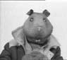Errol