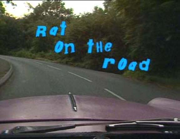 Rat On The Road